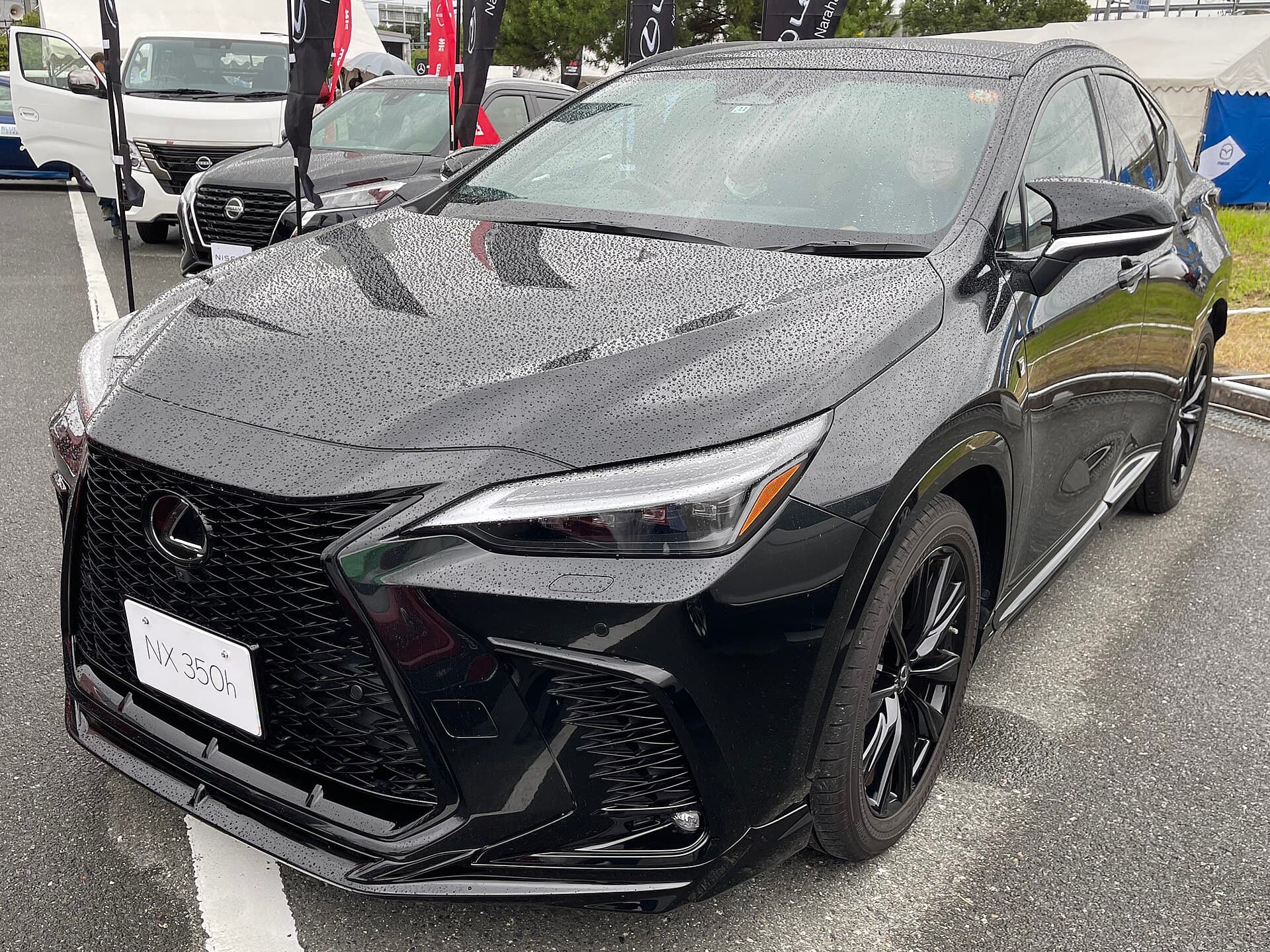 Lexus NX 350h F Sport vista frontale