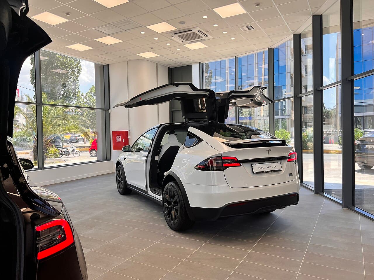 Tesla Model X Plaid, posteriore